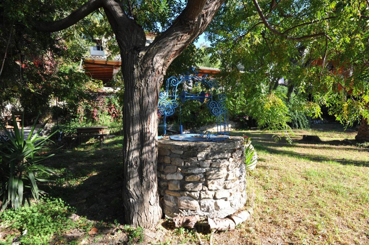 Villa Theodora View Apartments Zeys Agios Georgios Pagon Zewnętrze zdjęcie