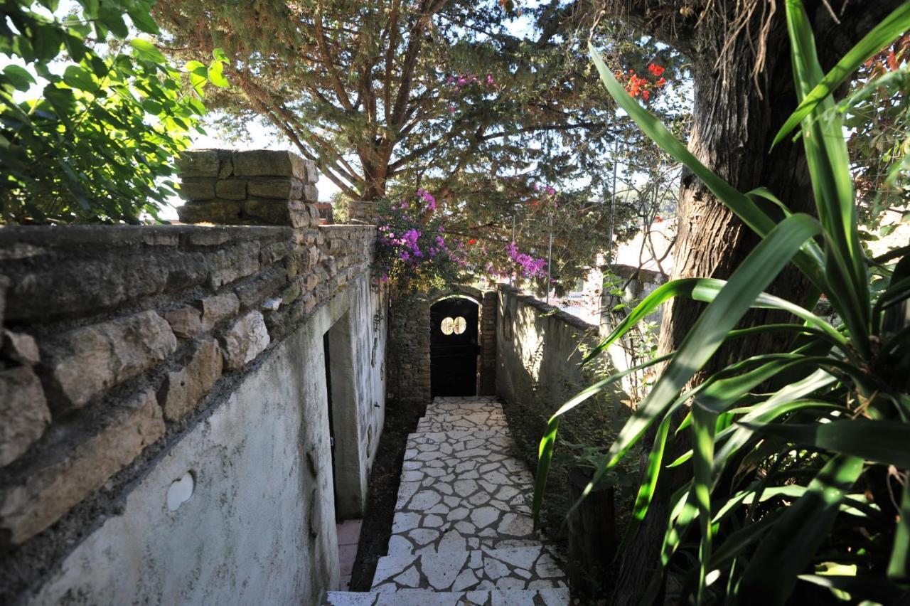 Villa Theodora View Apartments Zeys Agios Georgios Pagon Zewnętrze zdjęcie