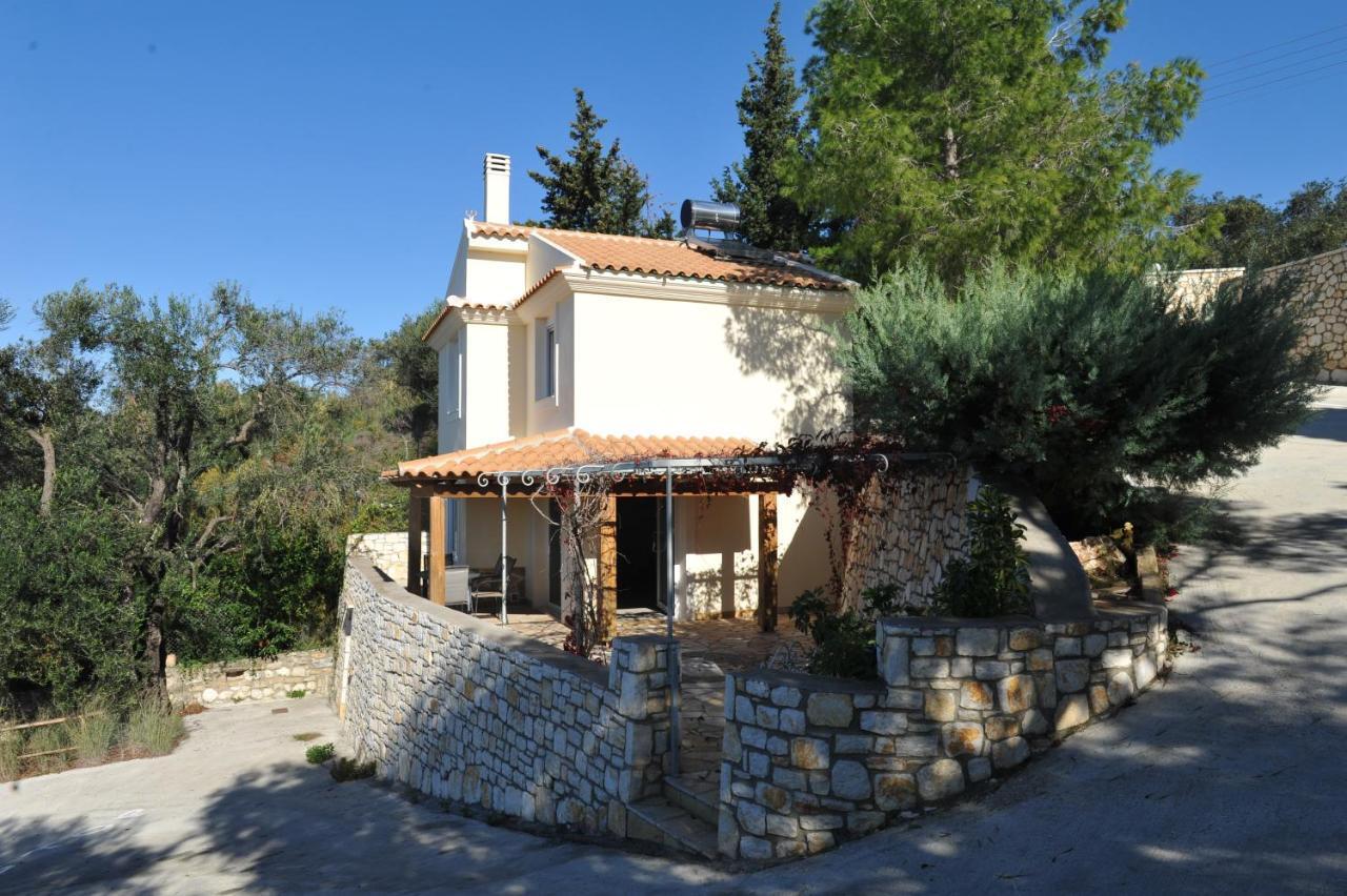 Villa Theodora View Apartments Zeys Agios Georgios Pagon Zewnętrze zdjęcie